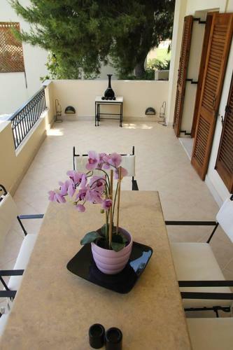 Villa Starchart