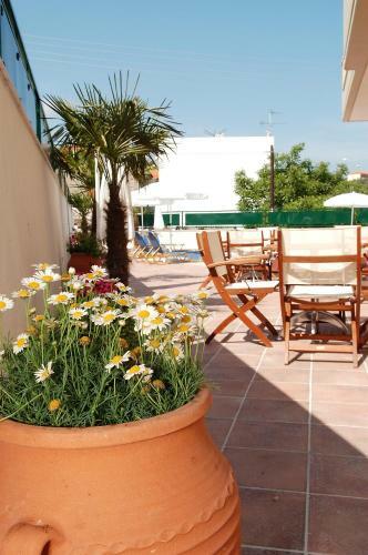 Hotel Ammos