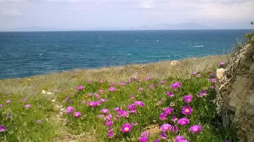 Apartamento Nireos Proteos 20