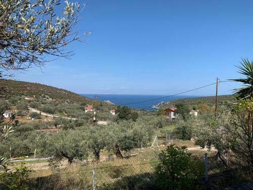 Olive Hill Private House