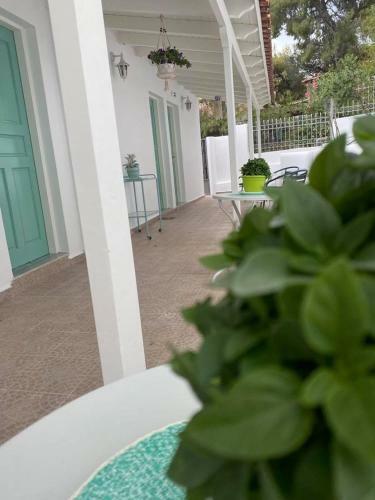 Apartamento Studios Argyris