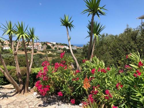Villa Ravdoucha Homeleader