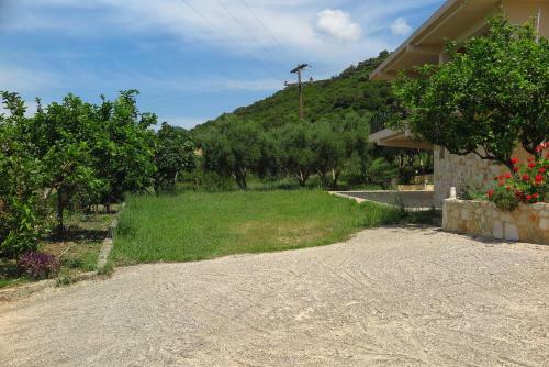 Ionian Blue View