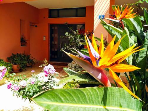 Myrto Apartment