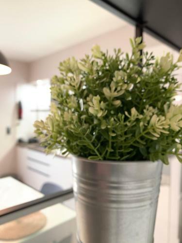Apartamento Cotte D'azzur2