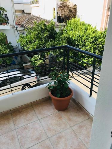 Cozy Apartment Near City Center