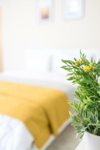 Apartamento Vanilla Family House Preveza