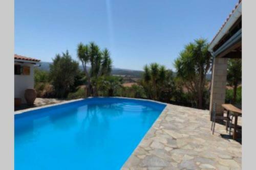 Villa Yucca Palm