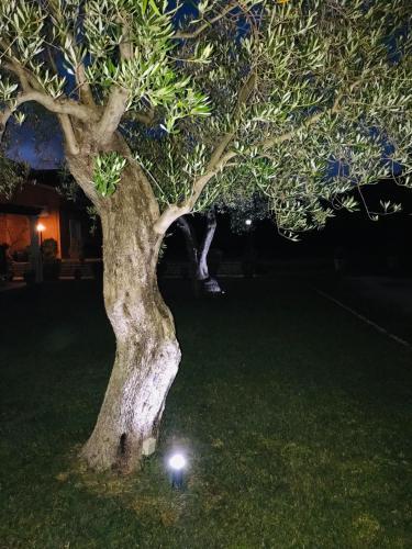 L'eremo Luxury Apartments