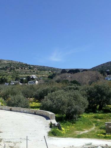 Traditional House Paros