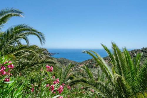 A 5bedroom Villa With Pool & Amazing Seaview