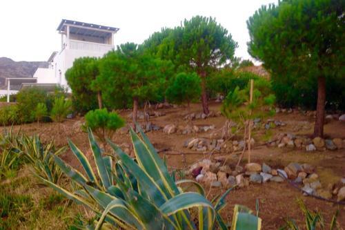 Apartamento Apollo Suite Serifos