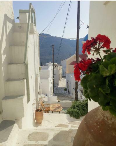 Apartamento Per_asma