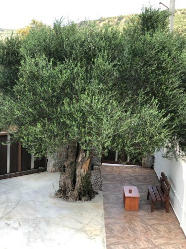 Creta Galini House