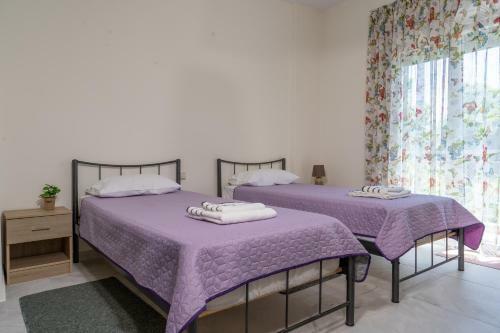 Apartamento Anemoelia II