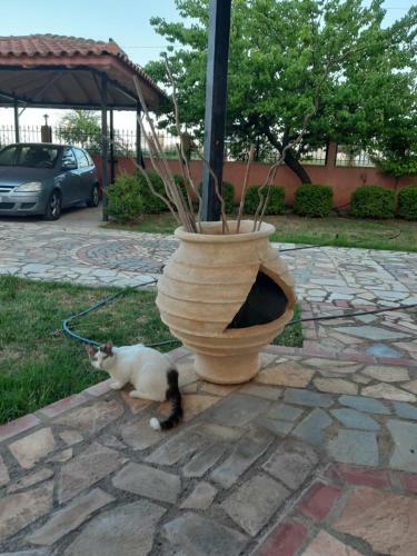 Villa Evi's