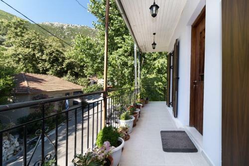 La Olga Apartment Lefkada