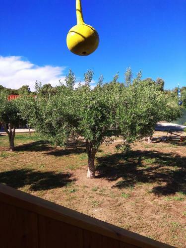 Apartamento Farma Giannis
