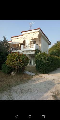 Summer House