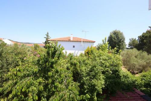 Apartamento Elia