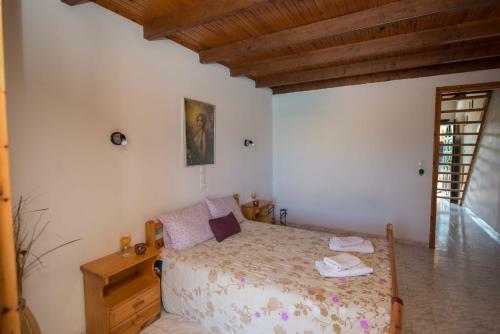 Georgia Apartments Sidari