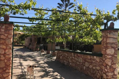 Makis Apartments Agia Fotia Sitia