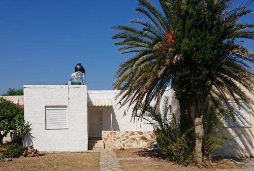Apartamento Villa Trypitos