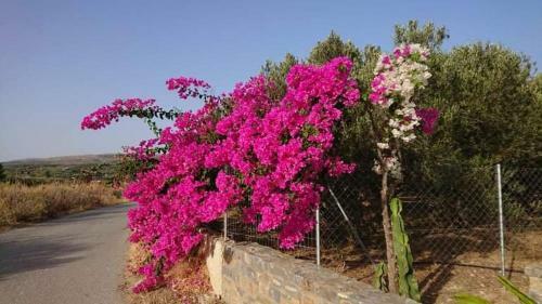 Apartamento Villa Trypitos