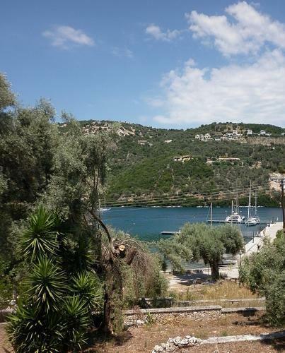 Apartamento ???????????? - Bougainvillea