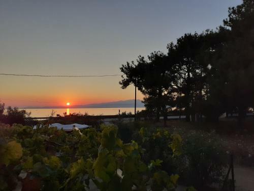 ?? ????? ?? ?? ?????? - Wellcottage Thassos