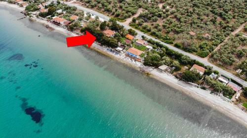 Pine Beach House