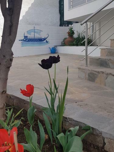 Doukas Apartments