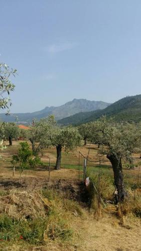 Apartamento Vlachogiannis El Estate