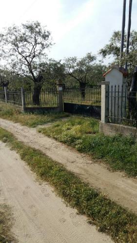 Apartamento Vlachogiannis El Estate
