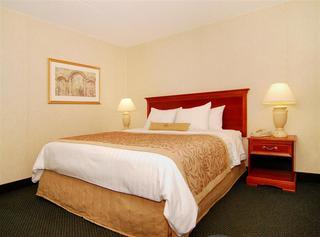 Hotel Best Western Brampton
