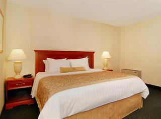 Hotel Best Western Brampton