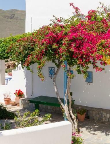 Hotel Provarma