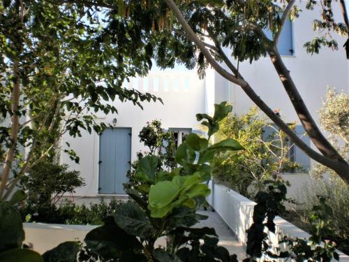 Apartamento Astypalea Villas