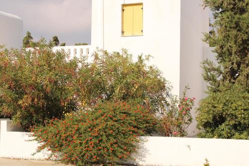 Apartamento Astypalea Villas