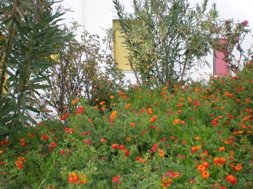 Apartamento Astypalea Villas