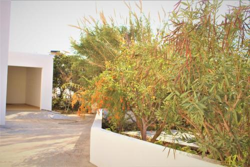 Apartamento Astypalea Villas