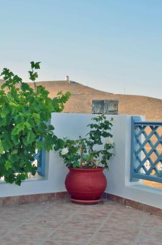 Apartamento Lefkanthemo