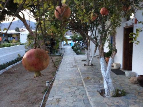 Apartamento Anixi