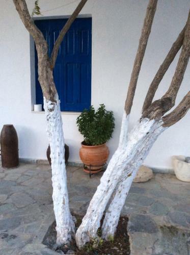 Apartamento Anixi
