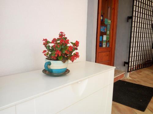 B&B Casa Solare Rakalia