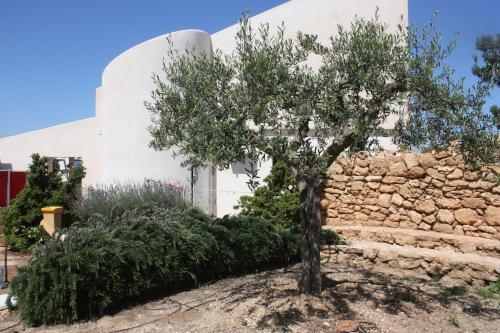 B&B Casa Solare Rakalia
