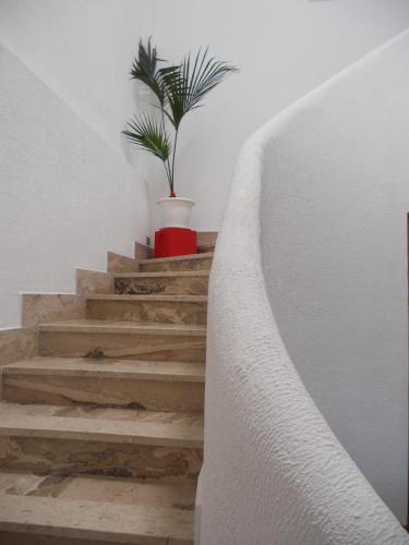 B&B Casa Solare Rakalia