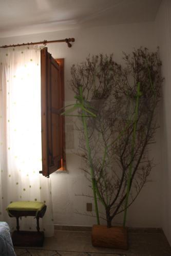 B&B Casa Solare Rakalia
