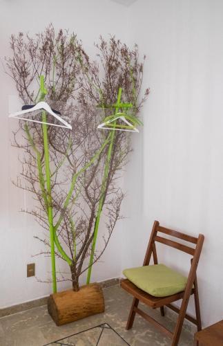 B&B Casa Solare Rakalia