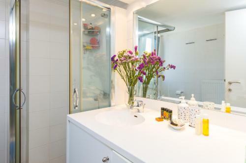 Apartamento Forteza View